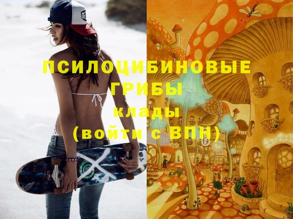 дмт Абинск