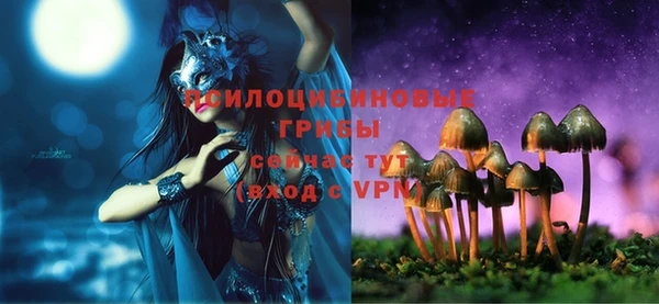 дмт Абинск