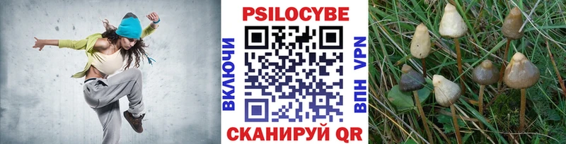 Галлюциногенные грибы мицелий  закладки  Саранск 